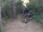 080727trialerada3de7.jpg