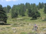 ironbike2006050replicany2.jpg
