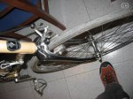 torrot1.jpg