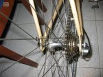 torrot2.jpg