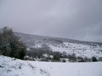 Image00001.jpg