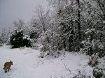 Image00004.jpg