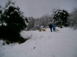 Image00007.jpg