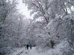 Image00009.jpg