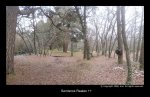 panoramica_valsain21_red.jpg