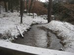 fotos01.JPG