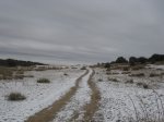 fotos04.JPG