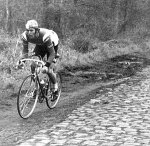 roger2[1].jpg