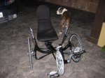 recumbent 002.jpg