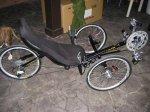 recumbent 003.jpg