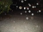 DSC02805.jpg