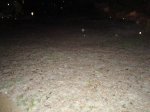 DSC02810.jpg