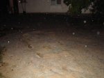 DSC02820.jpg