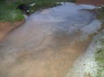 DSC02833.jpg