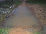 DSC02836.jpg