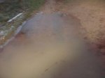 DSC02837.jpg