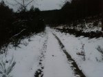 Foto0010.jpg