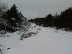 Foto0014.jpg