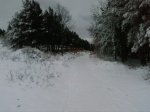 Foto0015.jpg