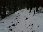 Foto0019.jpg