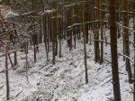 13122008770 (Large).jpg