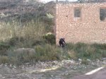 DSC00852.jpg