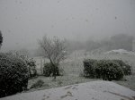 DSCN2499web.jpg