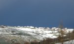 DSCN2529web.jpg