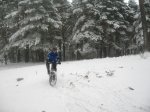 IMG_1932.JPG