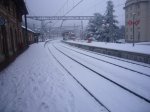 Foto3.JPG