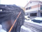 Foto12.JPG