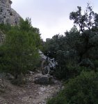 PC147322_resize.jpg