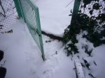 Foto1.JPG
