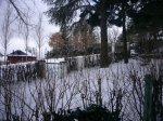 Foto3.JPG