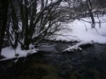 Foto11.JPG