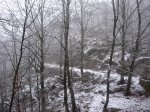 IMG_8225.JPG