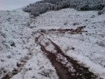 DSC00025.jpg