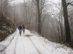 IMG_8227.JPG