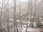 IMG_8229.JPG