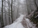 IMG_8233.JPG