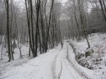IMG_8234.JPG