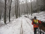 IMG_8237.JPG