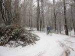 IMG_8239.JPG
