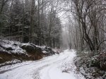 IMG_8244.JPG