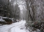 IMG_8250.JPG