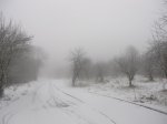 IMG_8266.JPG