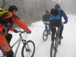 IMG_8272.JPG