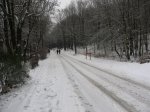 IMG_8281.JPG