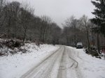 IMG_8283.JPG