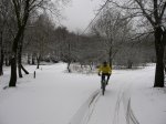 IMG_8294.JPG